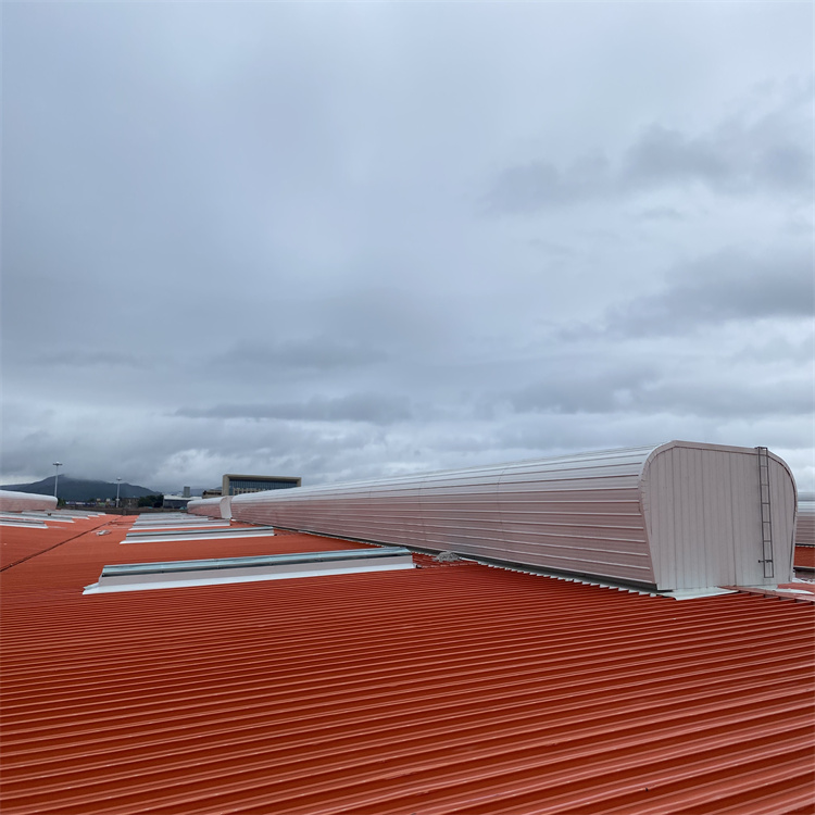 屋脊通風(fēng)氣樓